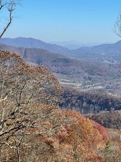 Wandering Trail, Waynesville, NC 28785