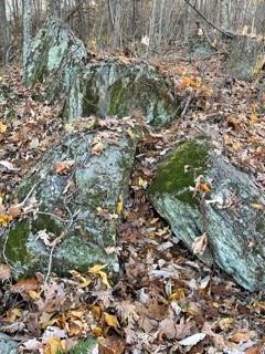 Lot 103 Avalon Gap Trail, Waynesville, NC 28785