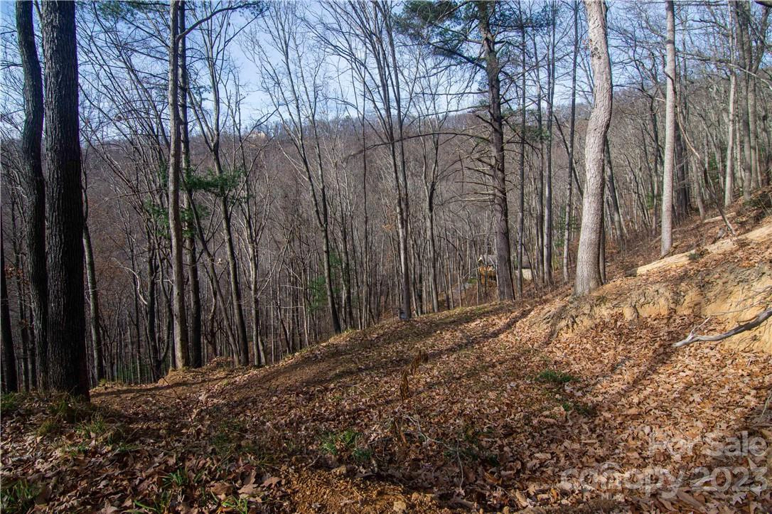 0000 Pink Fox Cove 2 Rd Unit 2  