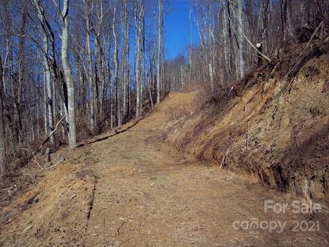 1011 S Fork Rd, Marshall, NC 28753 photo 9