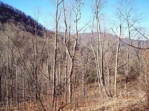 1011 S Fork Rd, Marshall, NC 28753 photo 10