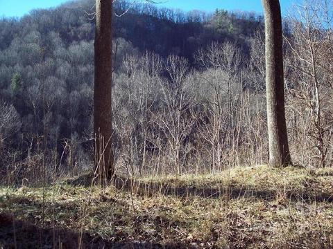 1011 S Fork Rd, Marshall, NC 28753 photo 1