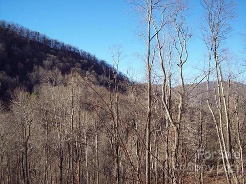 1011 S Fork Rd, Marshall, NC 28753 photo 11