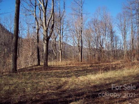 1011 S Fork Rd, Marshall, NC 28753 photo 6
