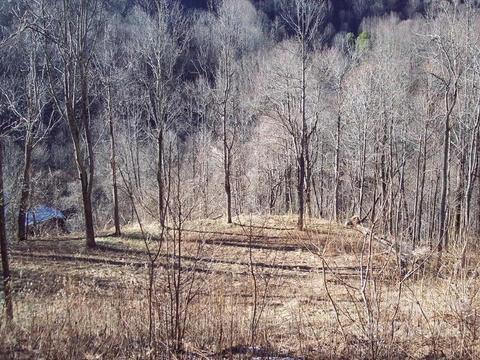 1011 S Fork Rd, Marshall, NC 28753 photo 2