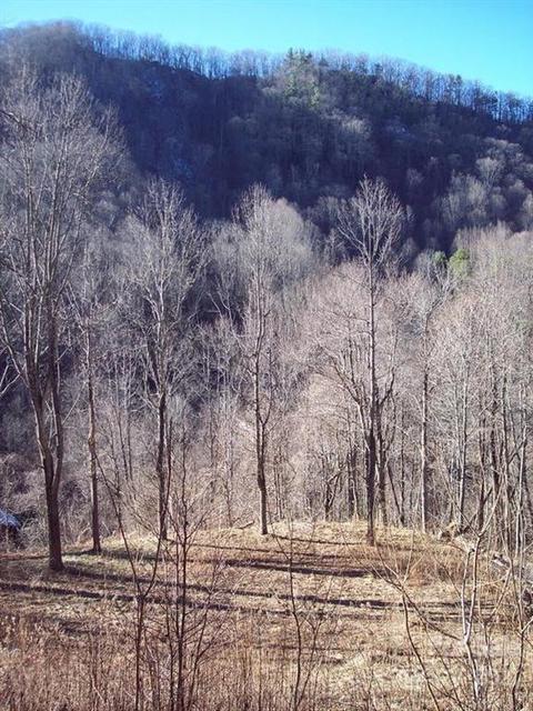 1011 S Fork Rd, Marshall, NC 28753 photo 3