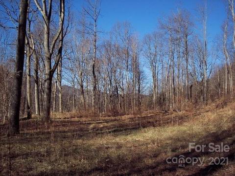 1011 S Fork Rd, Marshall, NC 28753 photo 4
