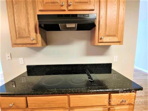224 Pyramid Pl, Sylva, NC 28779 photo 12