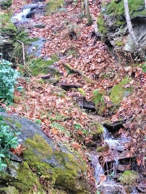224 Pyramid Pl, Sylva, NC 28779 photo 5