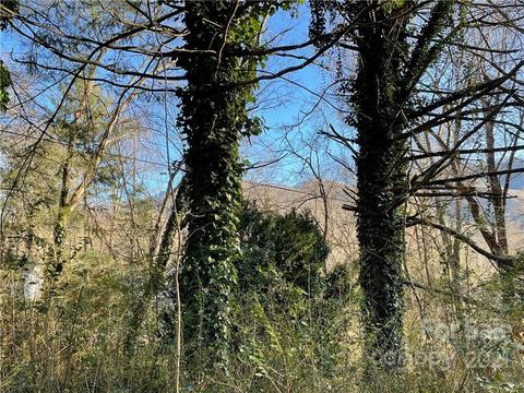 76 Walton Dr, Sylva, NC 28779 photo 3