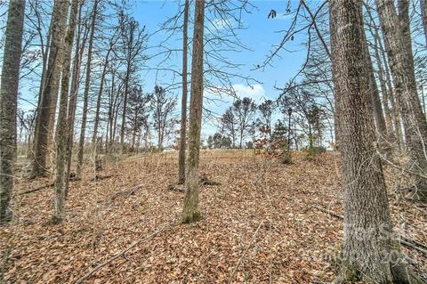 280 Torrington Dr, Mount Ulla, NC 28125 photo 13