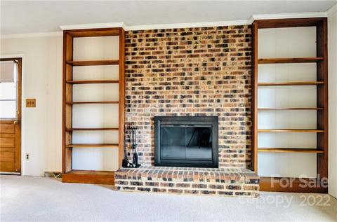 207 Falling Tree Ln, Monroe, NC 28112 photo 17