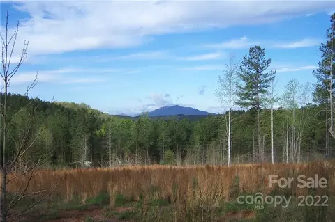 County Line Road, Mill Spring, NC 28756
