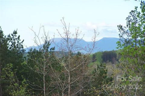 7 Palmer Road, Mill Spring, NC 28756