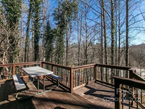 2420 River Rd, Tryon, NC 28782 photo 30