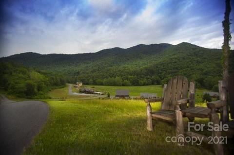 Wild Top Trail, Cullowhee, NC 28723 photo 9