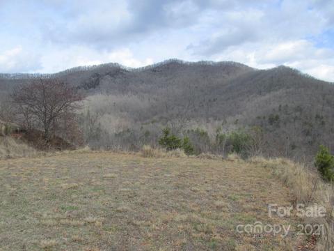 Wild Top Trail, Cullowhee, NC 28723 photo 5