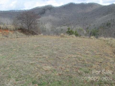 Wild Top Trail, Cullowhee, NC 28723 photo 4