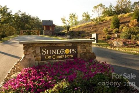 Wild Top Trail, Cullowhee, NC 28723 photo 8