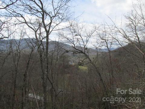 Wild Top Trail, Cullowhee, NC 28723 photo 7