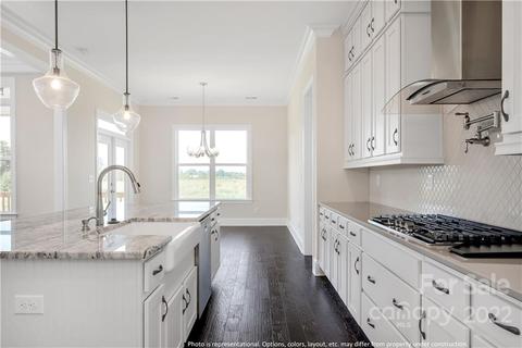147 Riverstone Dr, Davidson, NC 28036 photo 5