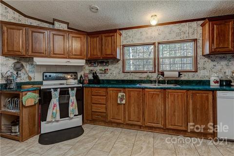184 Terrys Gap Loop Rd, Fletcher, NC 28732 photo 9