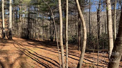 184 Terrys Gap Loop Rd, Fletcher, NC 28732 photo 27