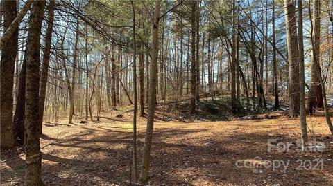 184 Terrys Gap Loop Rd, Fletcher, NC 28732 photo 26