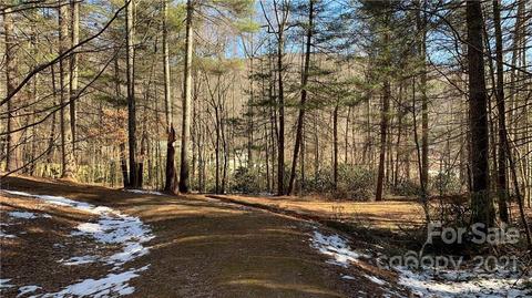 184 Terrys Gap Loop Rd, Fletcher, NC 28732 photo 24