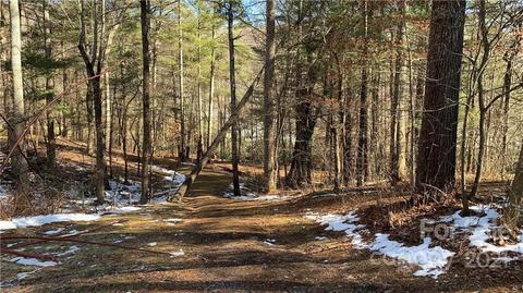 184 Terrys Gap Loop Rd, Fletcher, NC 28732 photo 22