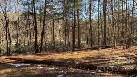 184 Terrys Gap Loop Rd, Fletcher, NC 28732 photo 25