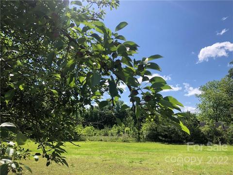 86 Mclendon Rd, Morven, NC 28119 photo 46