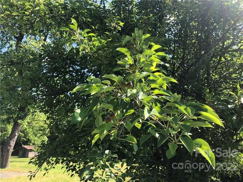 86 Mclendon Rd, Morven, NC 28119 photo 48