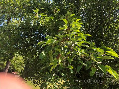 86 Mclendon Rd, Morven, NC 28119 photo 47