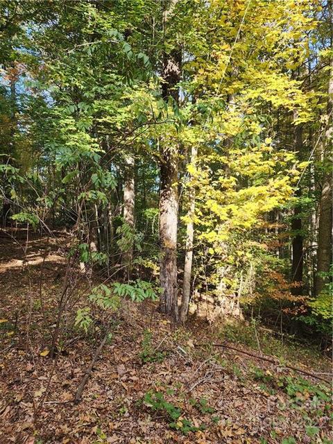 0 Hunter 2 St #2, Burnsville, NC 28714