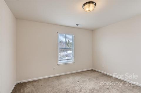10933 Kingsview Dr, Davidson, NC 28036 photo 23