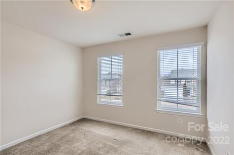 10933 Kingsview Dr, Davidson, NC 28036 photo 25