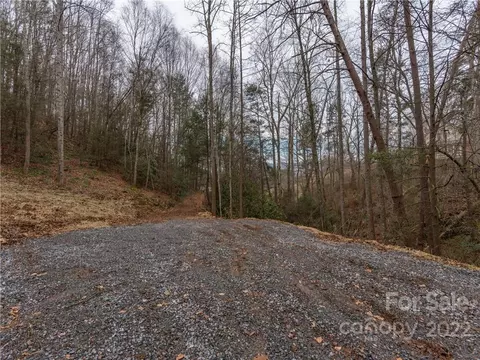 00 Moore Rd, Canton, NC 28716