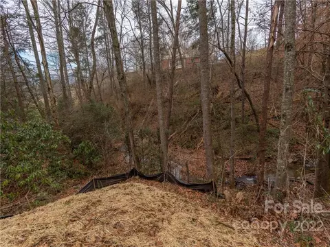 00 Moore Rd, Canton, NC 28716 photo 2
