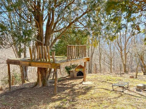 10364 Big Pine Rd, Marshall, NC 28753 photo 47
