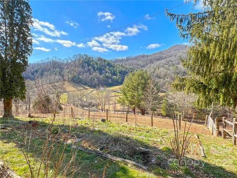 10364 Big Pine Rd, Marshall, NC 28753 photo 24