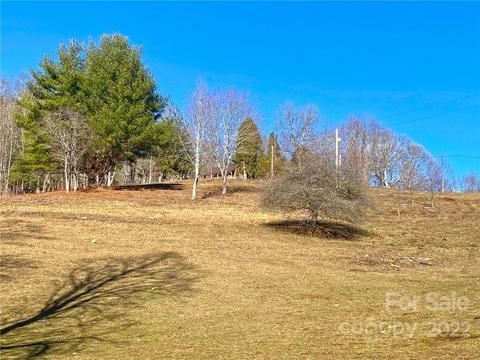 10364 Big Pine Rd, Marshall, NC 28753 photo 31