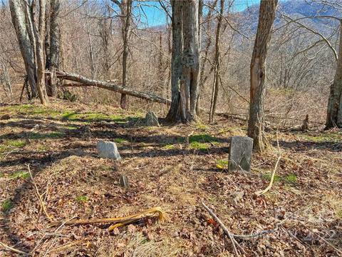 10364 Big Pine Rd, Marshall, NC 28753 photo 46