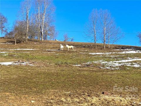 10364 Big Pine Rd, Marshall, NC 28753 photo 29