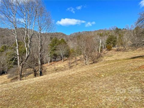10364 Big Pine Rd, Marshall, NC 28753 photo 26