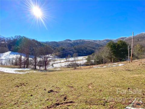 10364 Big Pine Rd, Marshall, NC 28753 photo 13