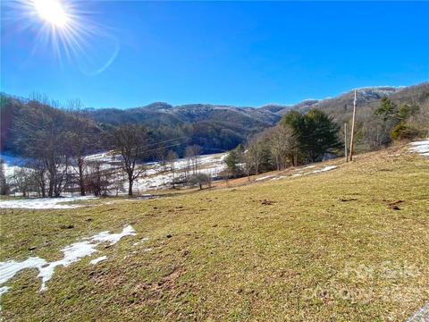 10364 Big Pine Rd, Marshall, NC 28753 photo 21