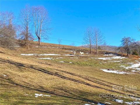 10364 Big Pine Rd, Marshall, NC 28753 photo 32