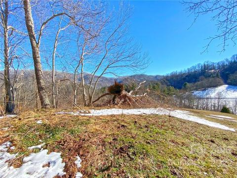 10364 Big Pine Rd, Marshall, NC 28753 photo 19