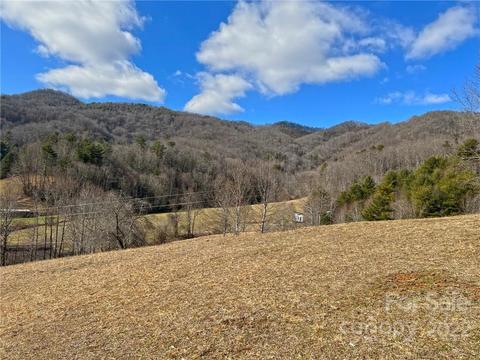 10364 Big Pine Rd, Marshall, NC 28753 photo 2